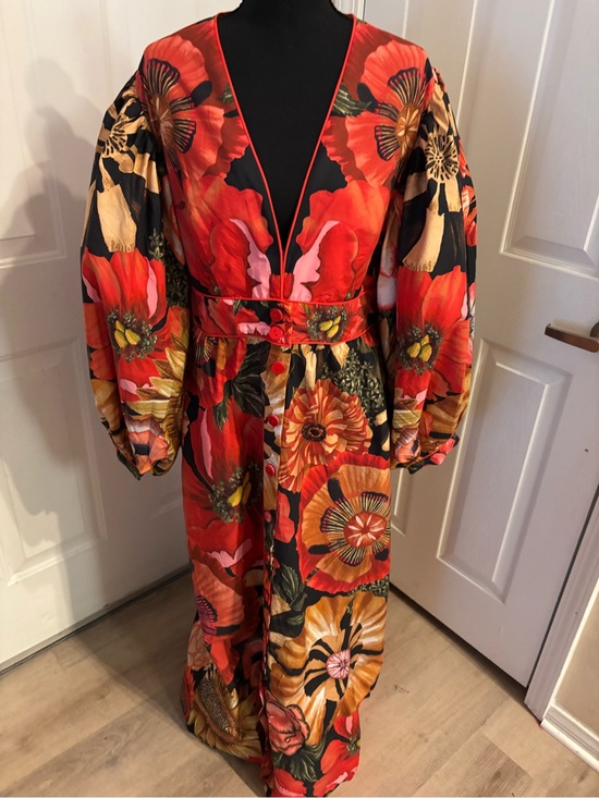 FARM Rio Dresses & Skirts - Floral Red V-Neck Long Sleeve Maxi Dress